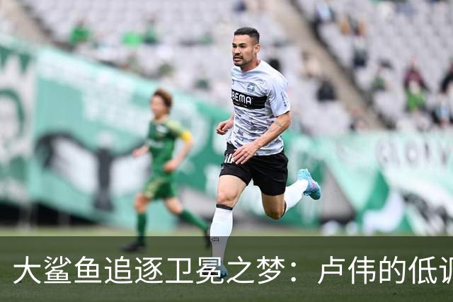 大鲨鱼追逐卫冕之梦：卢伟的低调与坚定承诺